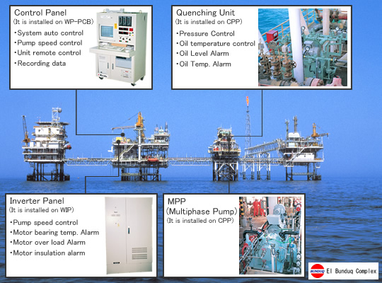 Hydraulic Equipment / Multiphase Pump